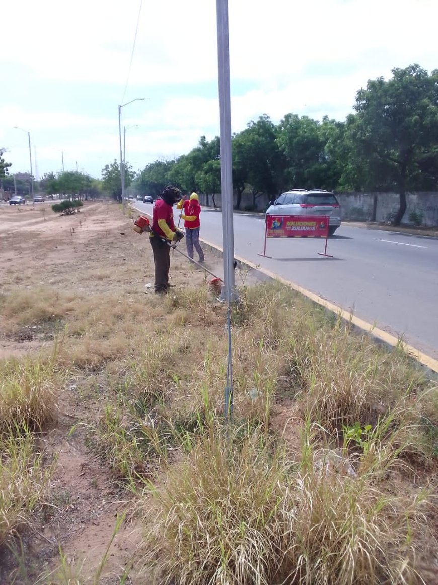 Ya Di Martino recoge la basura y asfaltará Maracaibo el fin de semana