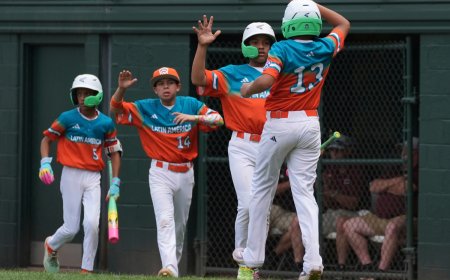 MUNDIAL DE PEQUEÑAS LIGAS: Venezuela brilla en su debut