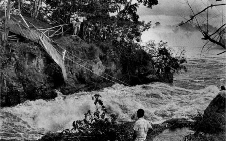 Hace 61 años "La Llovizna" se tragó a Reinoso Núñez y a otros 40 docentes venezolanos