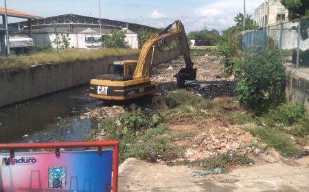 Intervenidas 14 cañadas y 95 ramales por el IMA 