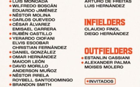 29 aguiluchos dejados en libertad