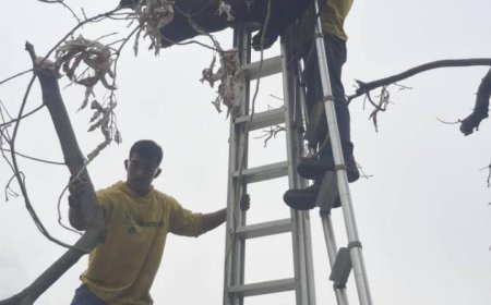 NO HUBO DAÑOS. Cañadas fluyeron durante el aguacero porque Di Martino las limpió