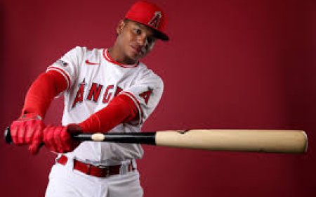 Prospecto barinés recibió permiso de Angelinos para jugar con Magallanes