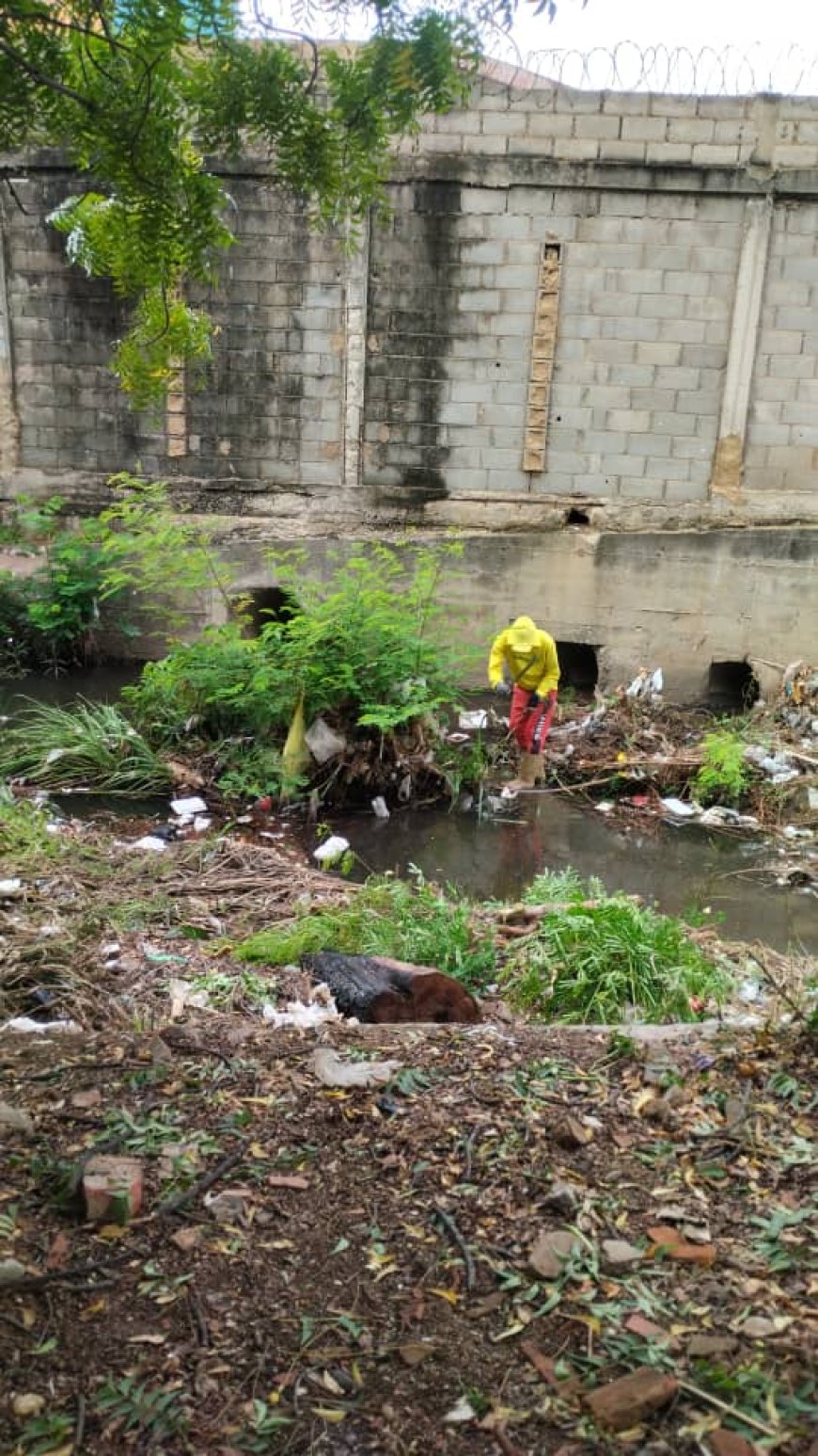 Limpieza de cañadas y ramales de Maracaibo sigue con firrmeza total