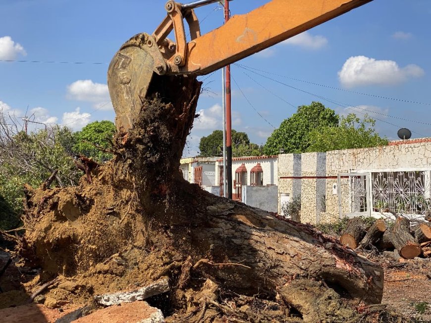 Di Martino resolvió fuga de gas en La Rosaleda y liberó paso vial tras caída de un árbol