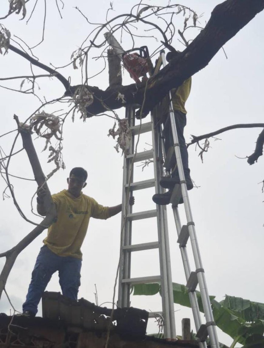 NO HUBO DAÑOS. Cañadas fluyeron durante el aguacero porque Di Martino las limpió