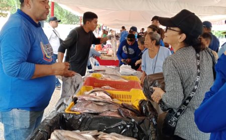 Los mercados de Di Martino ahora van dos veces por semana