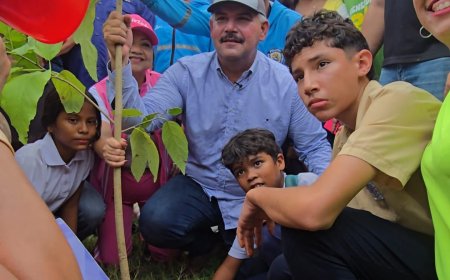 Zulia aportó la siembra de más de 7 mil árboles a la Reforestación Nacional