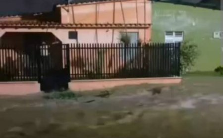 Barinitas también se inundó: Declarada en emergencia