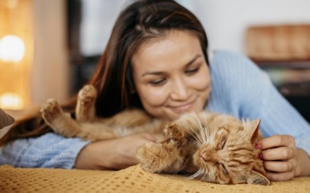 La toxoplasmosis afecta especialmente a embarazadas y personas inmunodeprimidas