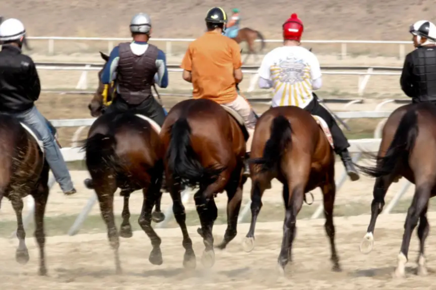 Semana 28 consecutiva con récord lleva el 5y6