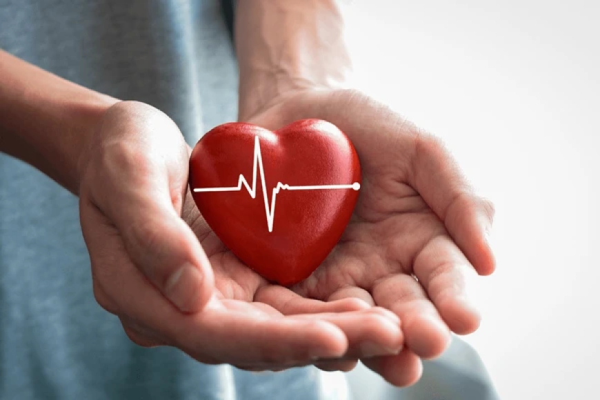 80 latidos por minuto: cuida tu corazón y evita el desequilibrio total