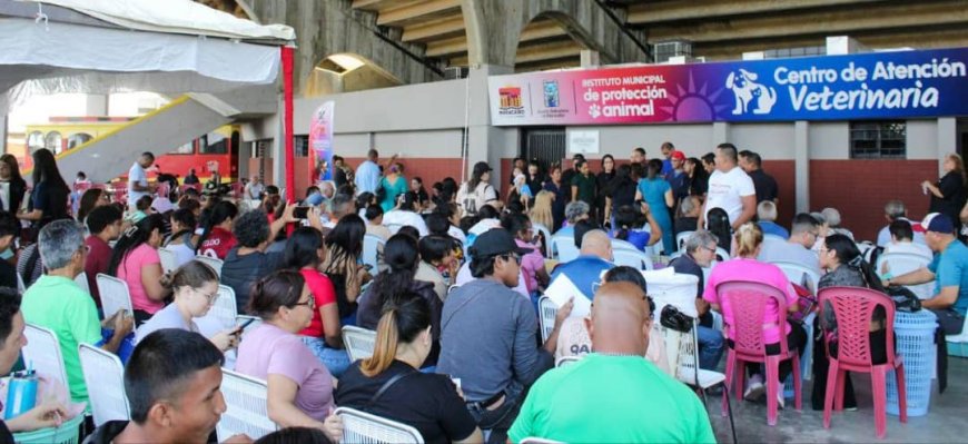MARACAIBO: Alcaldía fomenta tenencia responsable y el bienestar de los animales  