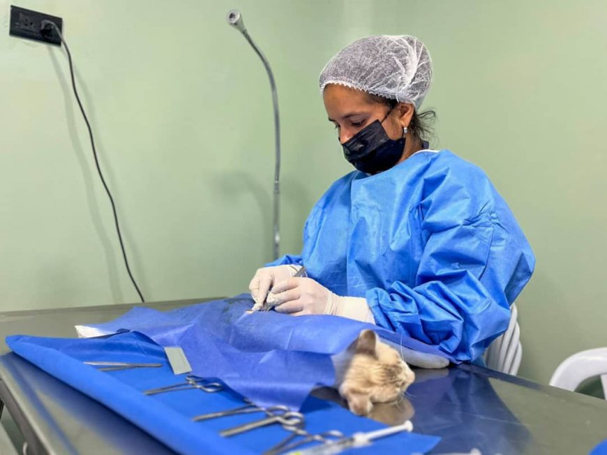 MARACAIBO: Alcaldía fomenta tenencia responsable y el bienestar de los animales  