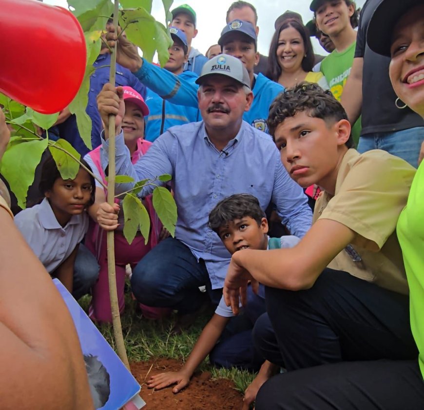 Zulia aportó la siembra de más de 7 mil árboles a la Reforestación Nacional