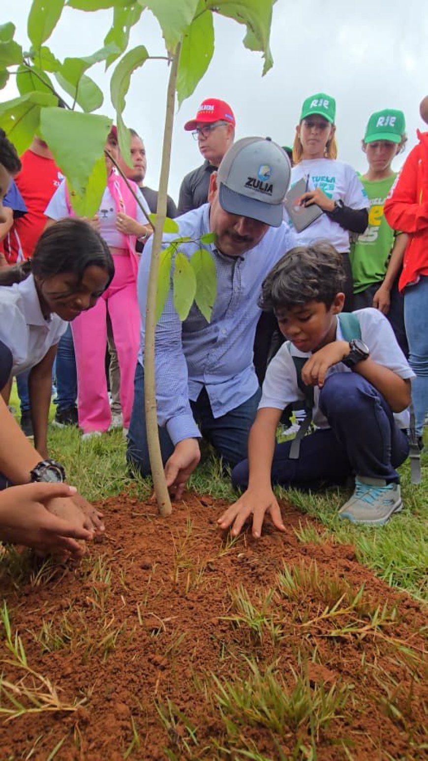 Zulia aportó la siembra de más de 7 mil árboles a la Reforestación Nacional