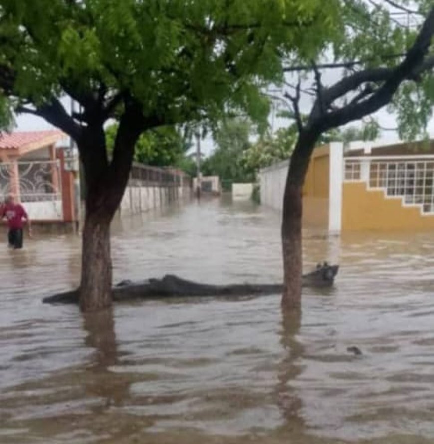 Aguacero de este sábado inundó a varios sectores populares de Cabimas