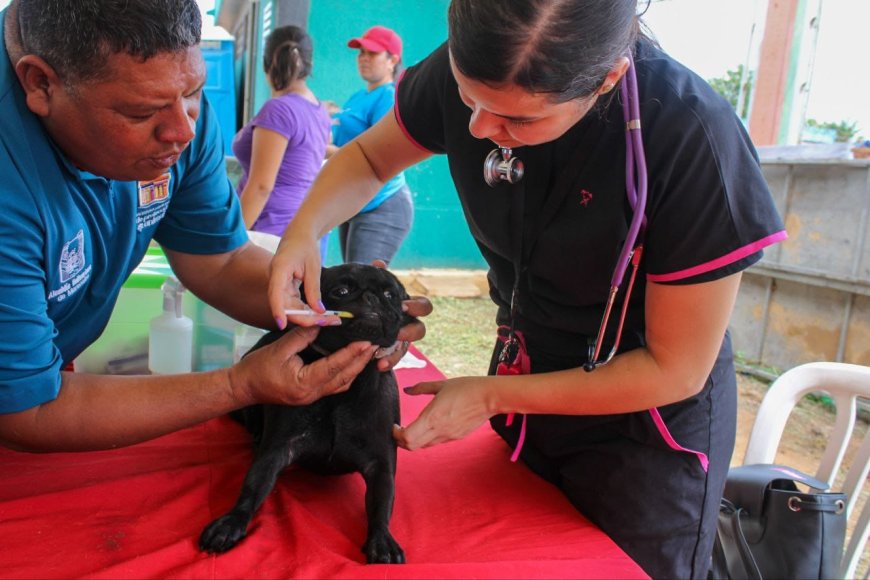 Mercado de Di Martino expendió más de 7 toneladas de alimentos en La Chamarreta