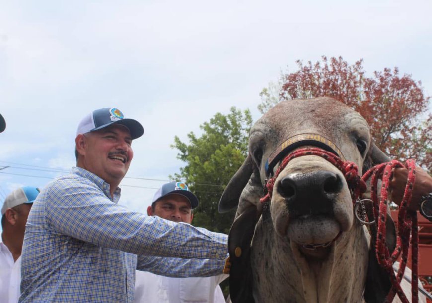 LUIS CALDERA: Feria Ganadera de Rosario de Perijá, muestra de la Venezuela y el Zulia potencia