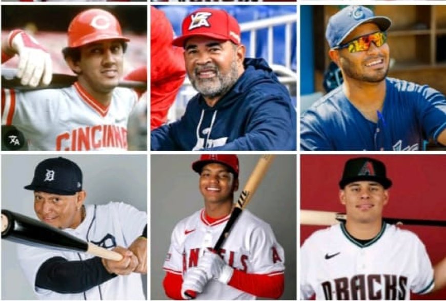 LVBP: Interesante edición 80 arranca este míercoles 15  