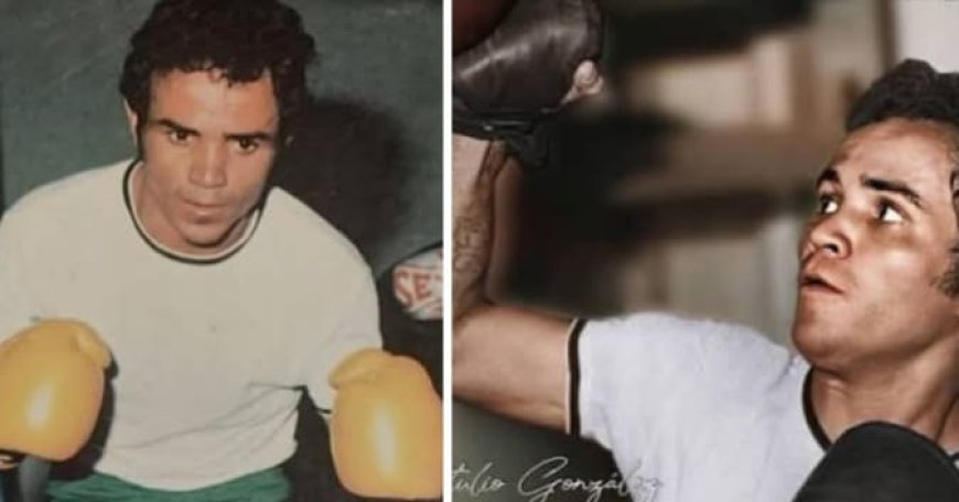 El Alejandro Borges y el Luis Aparicio, los estadios que vieron iluminar al Tricampeón
