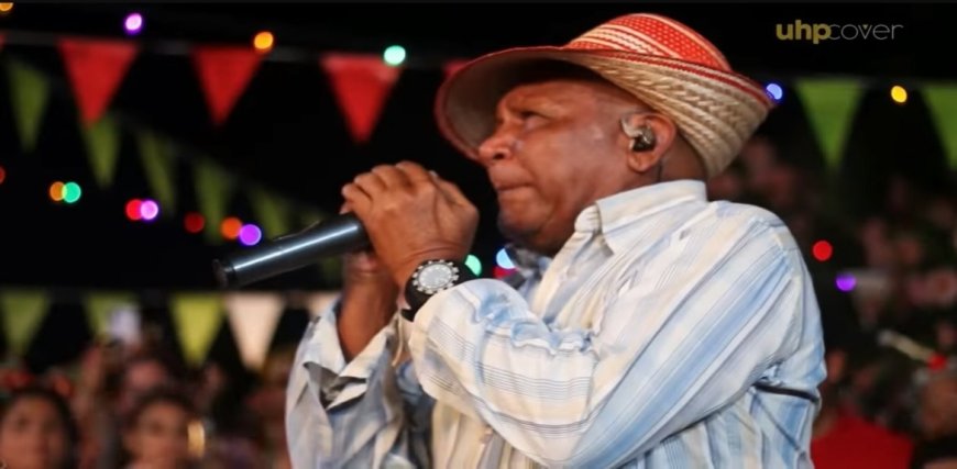 ¡PURA CREMA!: Estos son los artistas que animarán el encendido de Bella Vista este 7N