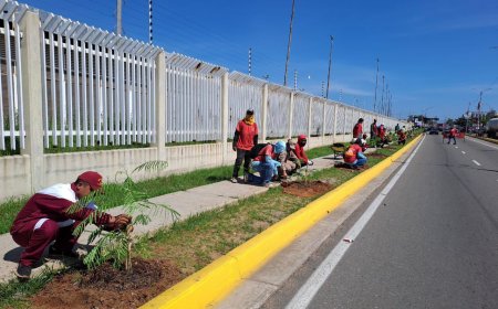 Sembraron árboles en el kilómetro 4 en celebración del Día Mundial de la Ecología