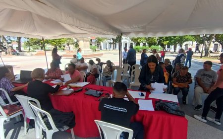 Proyectos aprobados de Consulta de la Juventud consignan requisitos para financiamiento