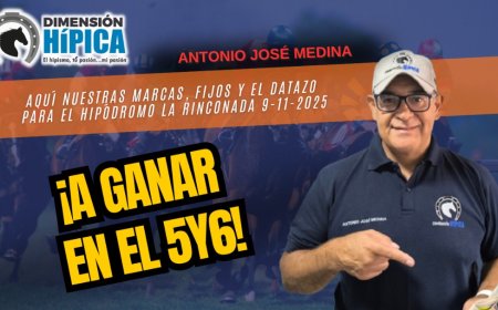 Dimensión Hípica Pronósticos con las orientaciones para las carreras de este domingo 9-11 en el Hipódromo La Rinconada.
