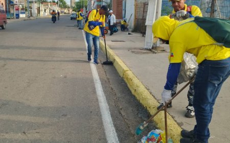 ¡Todo limpio después del Encendido!: Los ambientalistas también le dieron brillo a la ciudad