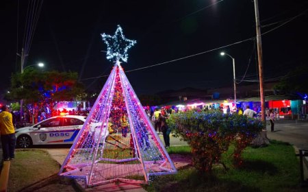 58 años esperó el Mercado Panamericano de La Limpia para encender la Navidad