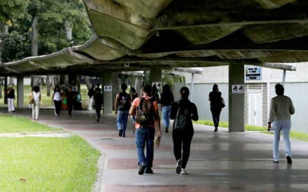 Aclarando por qué es Día de todos los estudiantes...