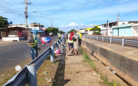 MARACAIBO: Alcaldía con limpieza fija en parroquia Juana de Ávila
