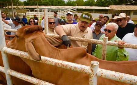ZULIA: Luis Caldera acompañó colocación de 83.000 dosis en segundo ciclo de vacunación antiaftosa
