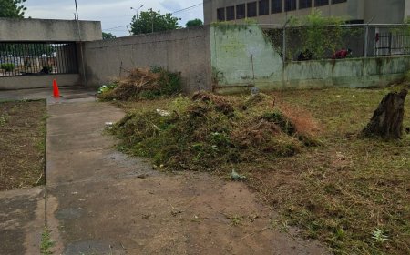 La Alcaldía y el IMA no descansan: Ahora limpiaron Pomona y Palaima