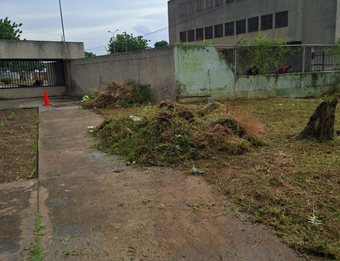 La Alcaldía y el IMA no descansan: Ahora limpiaron Pomona y Palaima