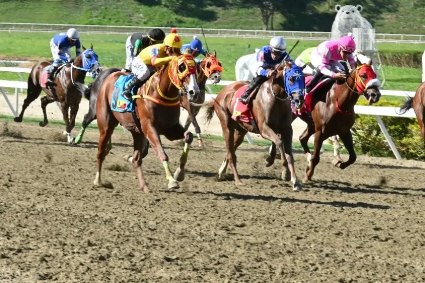  Robert Capriles y Gabriel Márquez los más destacados en La Rinconada