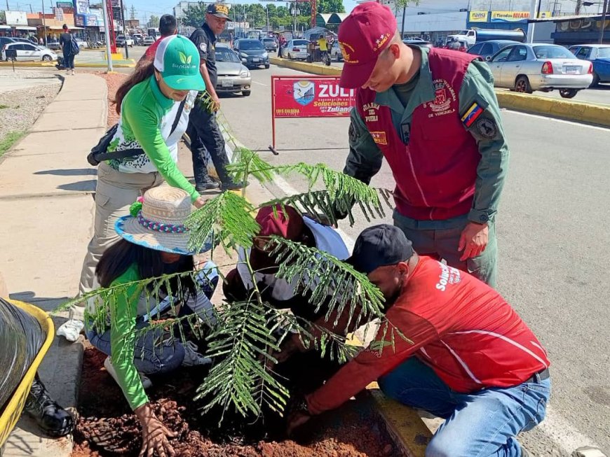 Sembraron árboles en el kilómetro 4 en celebración del Día Mundial de la Ecología