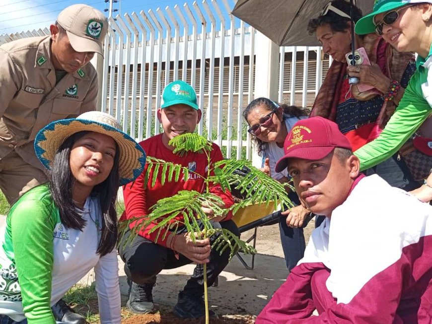 Sembraron árboles en el kilómetro 4 en celebración del Día Mundial de la Ecología