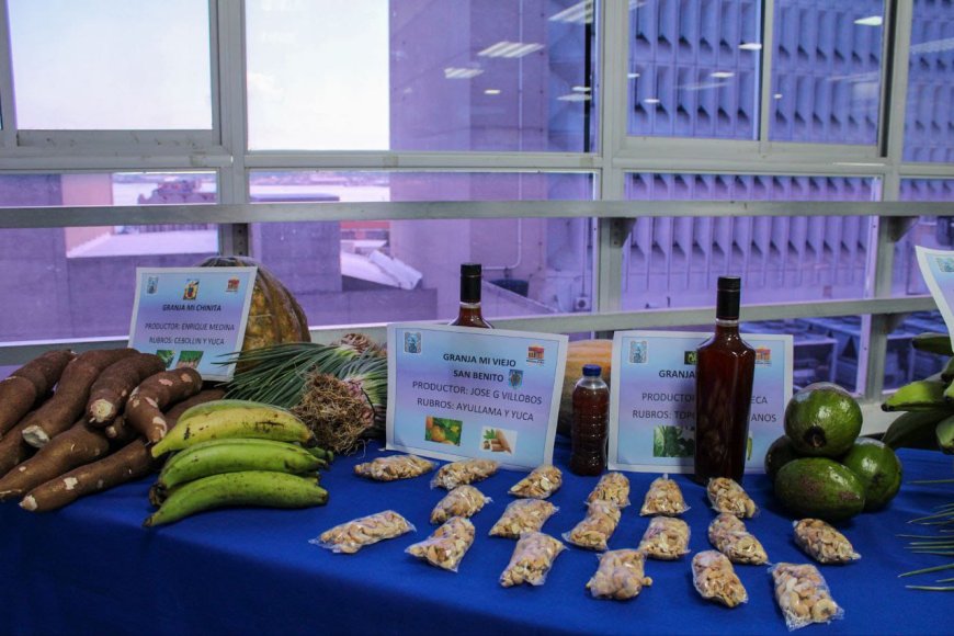 Bodega Municipal: Plan de la Alcaldía para romper la cadena de especulación en Maracaibo 