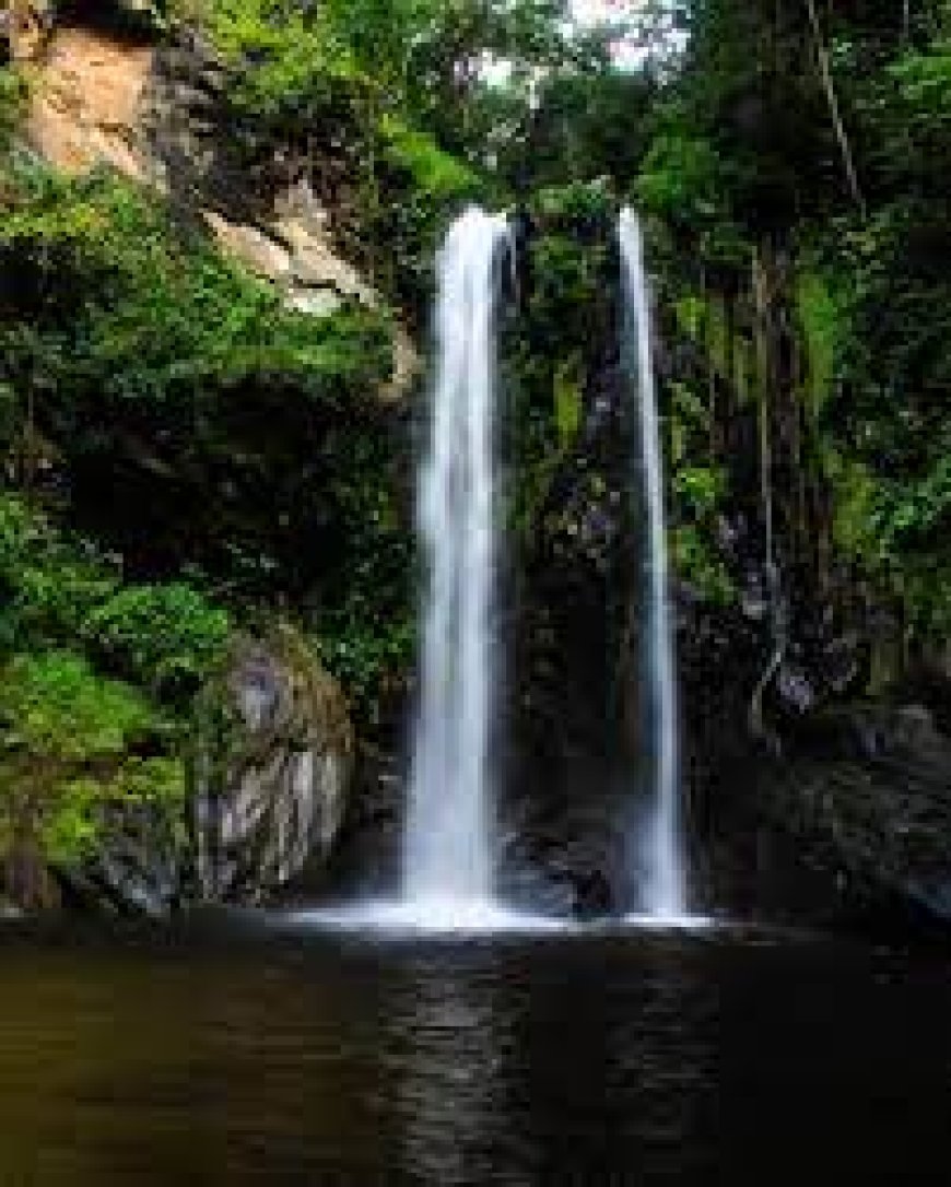 El agua siempre es protagonista 