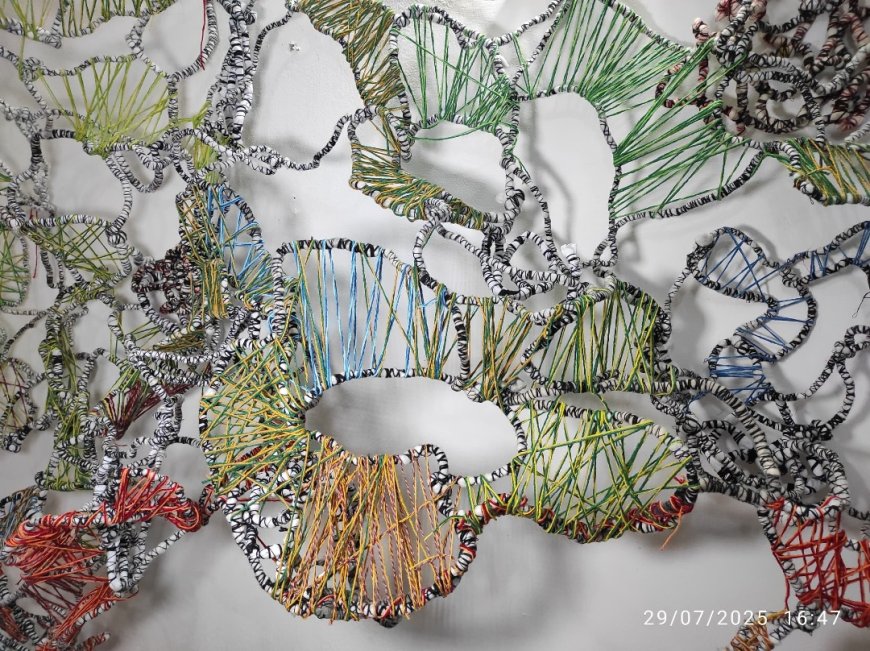 Resonancias femeninas: El arte de Camila Bellorín Tanasi y Verónica Florville en la VI Bienal del Sur