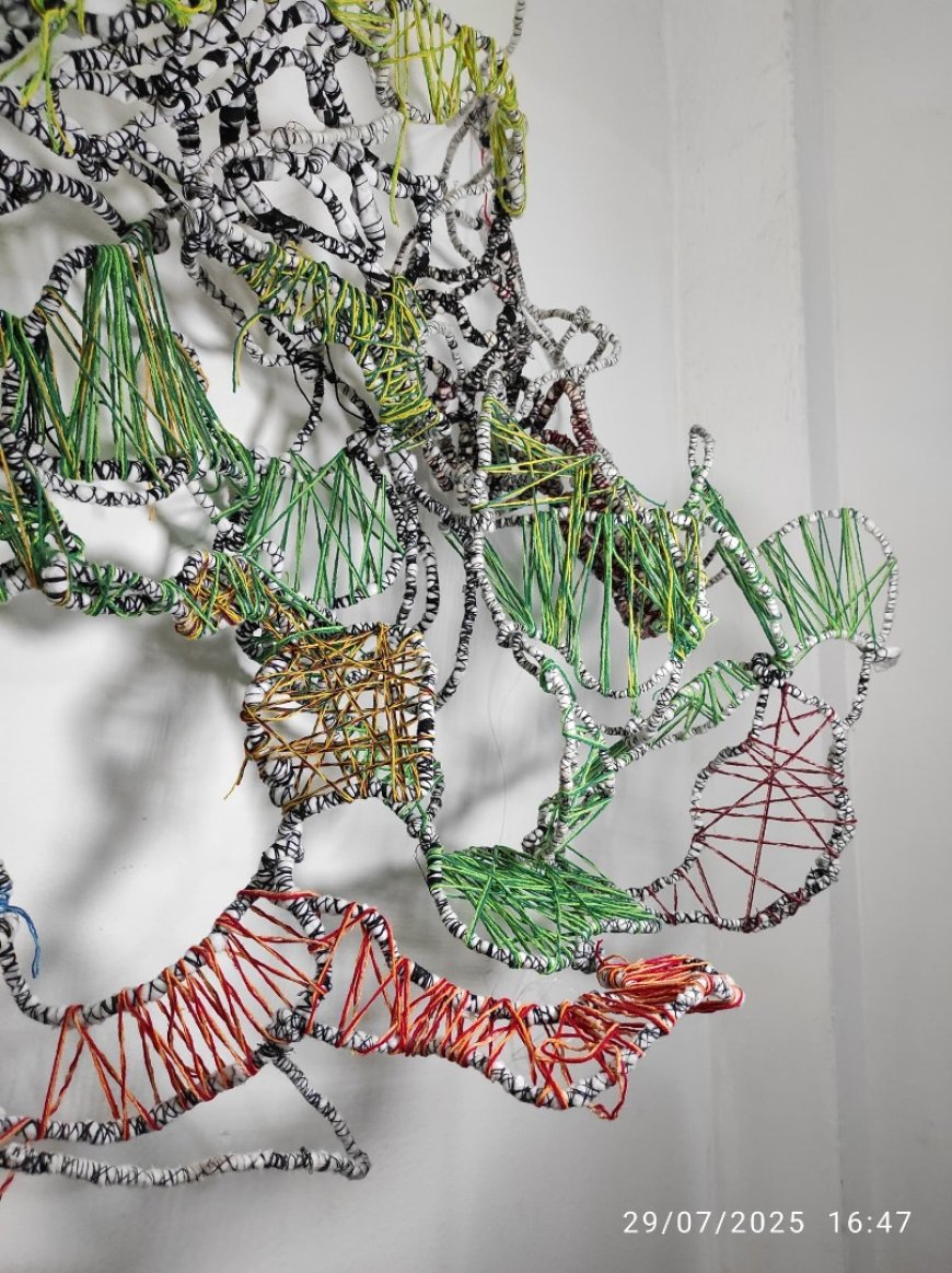 Resonancias femeninas: El arte de Camila Bellorín Tanasi y Verónica Florville en la VI Bienal del Sur