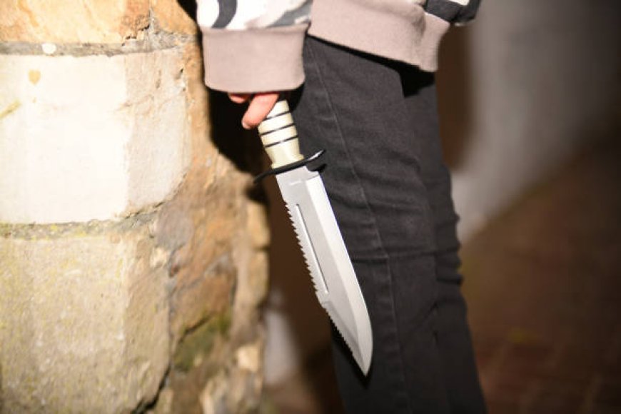 Esperó a su ex novia en las escaleras de su edificio y le dio más de 20 puñaladas