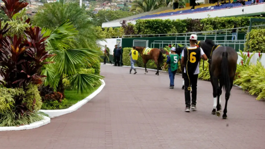 Carlos Radelli ganó 5 del programa de 13 carreras 