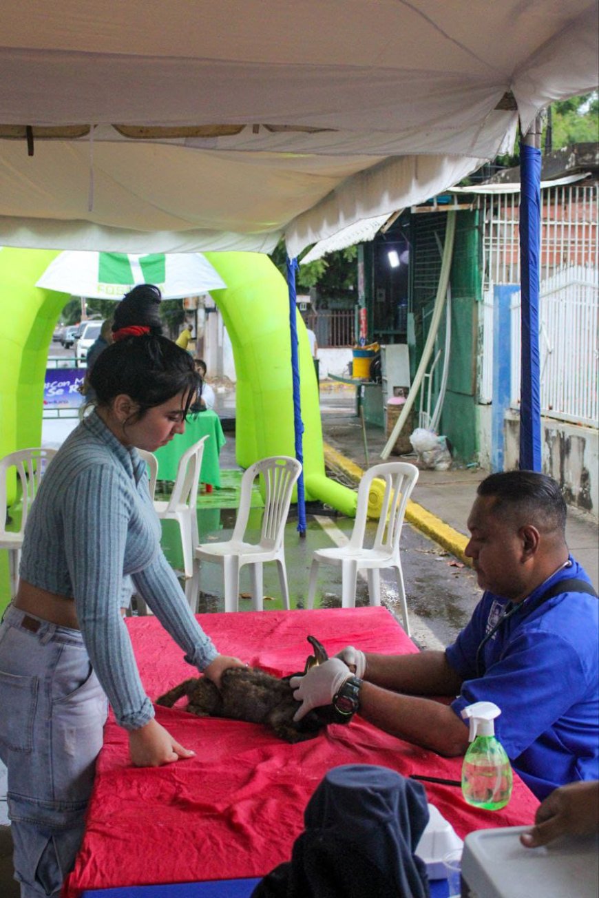 El Mercado de Di Martino fue un alivo al bolsillo en el barrio Guaicaipuro 