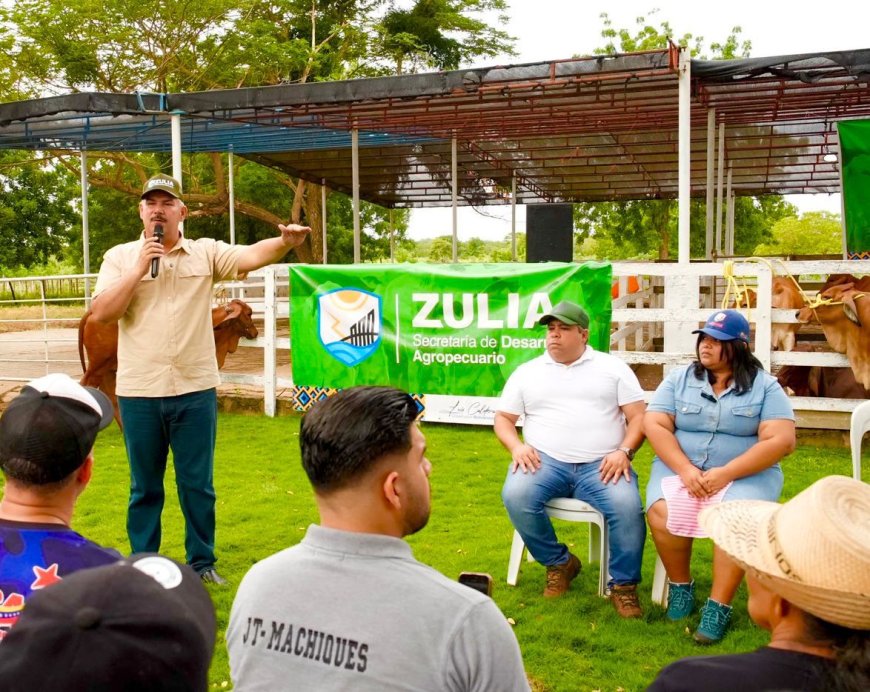 ZULIA: Luis Caldera acompañó colocación de 83.000 dosis en segundo ciclo de vacunación antiaftosa