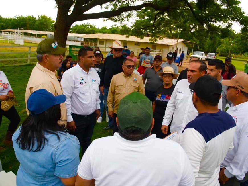 ZULIA: Luis Caldera acompañó colocación de 83.000 dosis en segundo ciclo de vacunación antiaftosa