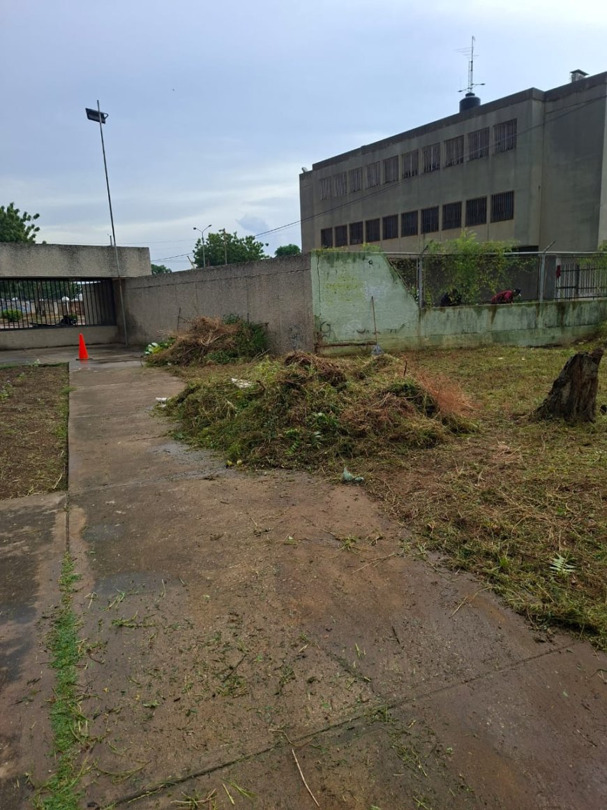 La Alcaldía y el IMA no descansan: Ahora limpiaron Pomona y Palaima