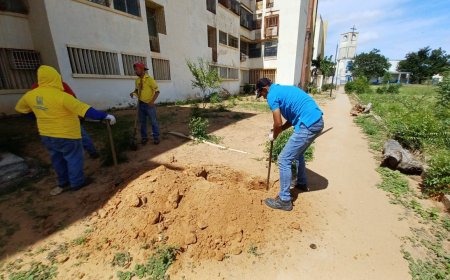 En El Pinar están "jochaos": Tienen gas otra vez